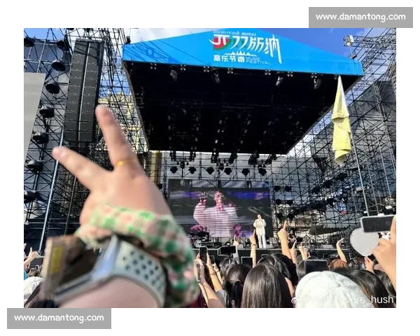 绿洲演唱会退票成功！因艺人争议行为维权实录